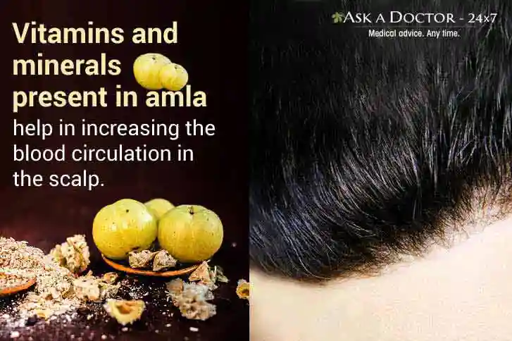  amla fruit and scalp of a man =